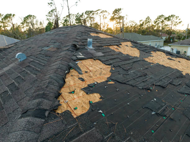 Trusted Breckenridge, CO Roofing Service Experts